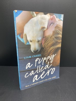A Puppy Called Aero: Inspirational Story: How a Labrador saved A Boy With ADHD