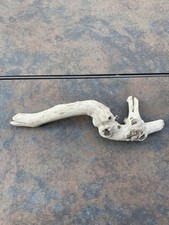 Natural Driftwood for Plants Terrarium Taxidermy Art Projects