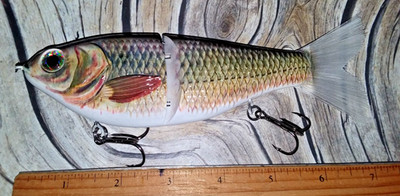 Kopy CAT Of CA Swimbait Famous PRINTED Shad with a Brush Tail 7 in. 2.5oz Lure!!