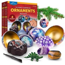 Science Surprise Christmas Ornament Kit for Kids- 4 Dig Kit Ornaments with Ge...