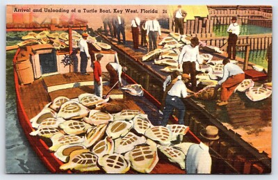 FL Key West, Arrival and Unloading of a Turtle Boat, Linen Unposted