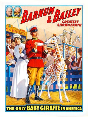 Ringling Bros Barnum & Bailey Circus Poster Baby Giraffe1916  Art Print 