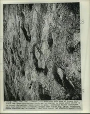 1964 Press Photo Lava Field, Bend, Oregon - piw01605