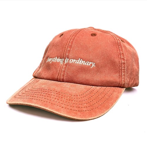 Everything Is Ordinary Washed Embroidered Dad Baseball Cap || Dadcap Slogan Meh - Picture 12 of 16
