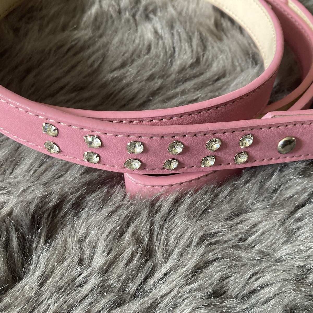 Pucci Petwear UK