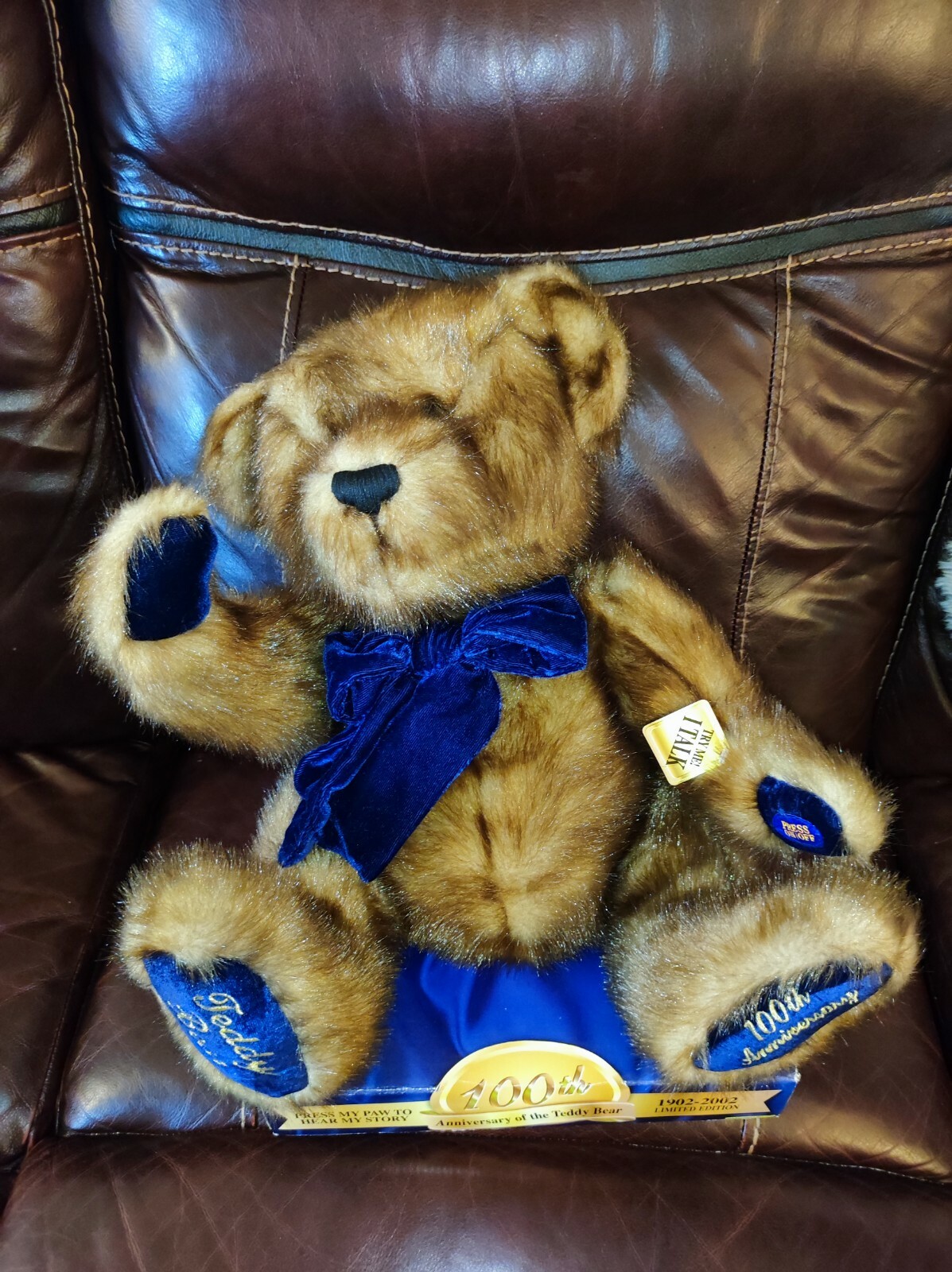 100th anniversary limited edition teddy's teddy