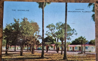 #ad Vintage Postcard The Shoreline Motel Bradenton Florida PMD 1955 Nostalgic $4.89