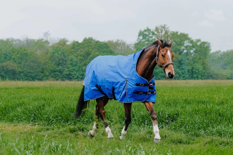 Pferde Outdoordecke Weidedecke Regendecke 50g High Neck 1200D Ekkia 150 cm - Bild 3 von 4