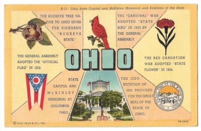 Ohio c1950 State Capitol, Cardinal Bird, Red Carnation, Buckeye Tree, State Flag