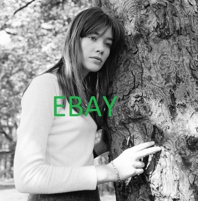 FRANCOISE HARDY Photograph