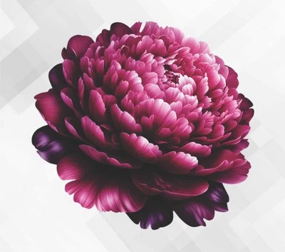 Autocollant sticker vinyle mural fleur pivoine chinoise ko145 - Photo 1/4