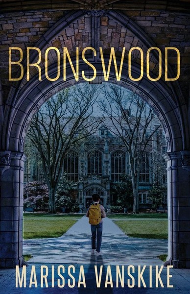 Bronswood (How It Had To Be, 2) Marissa Vanskike Taschenbuch How It Had To Be-image