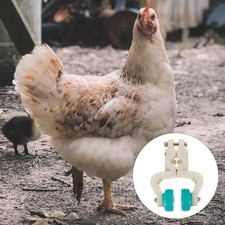 Küchen-Geflügel-Riemenrad, Metzgereibedarf, Kabel-Riemenscheibe für Schlachthof