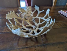 Faux Antler Centerpiece Bowl