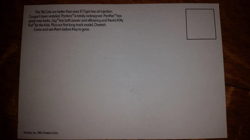 Tarjeta Postal Gato Ártico Vintage 1962 - 85 "IT'S A LEGEND" Panther El Tigre EXT 100 Foto 2 de 2