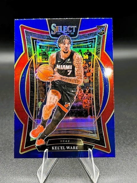 2024-25 Panini Select - Concourse Alexandre Sarr #73 Silver Prizm (RC)