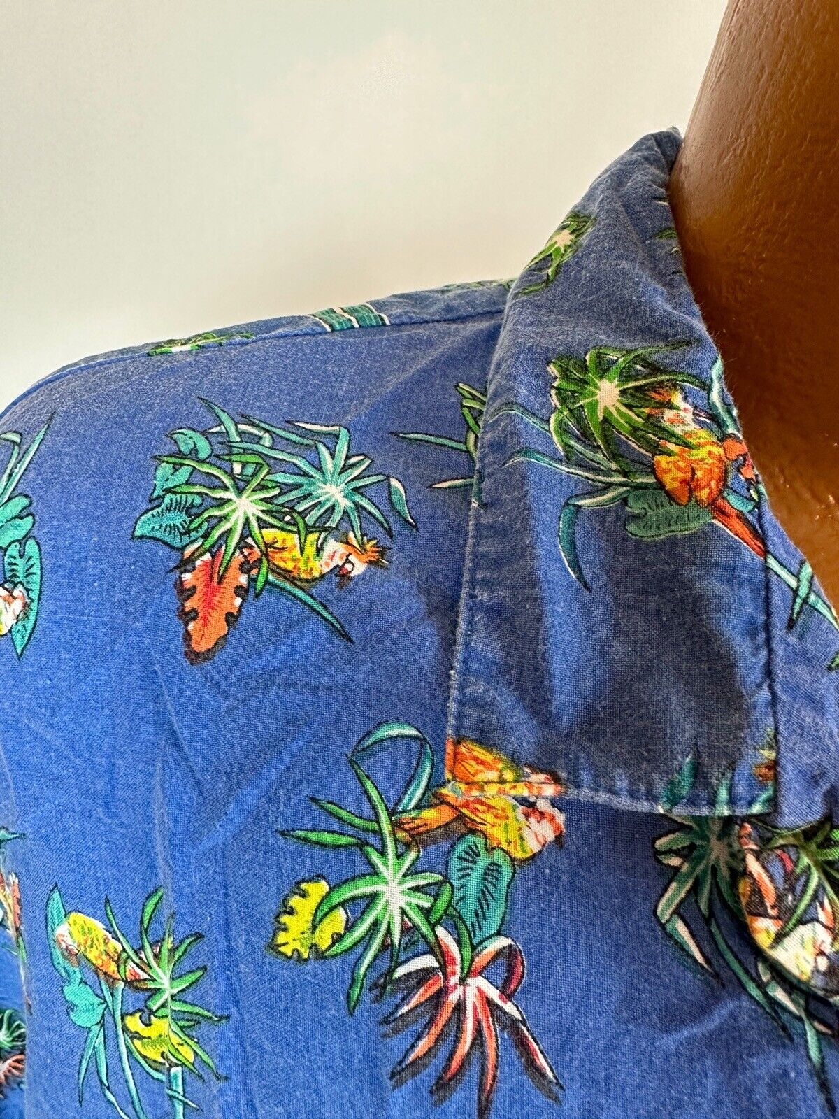 Picture 5 of 13