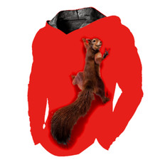 Sudadera Capucha Hombre Gr fico Ardilla Camiseta Entrenamiento Suave Roja Ligero