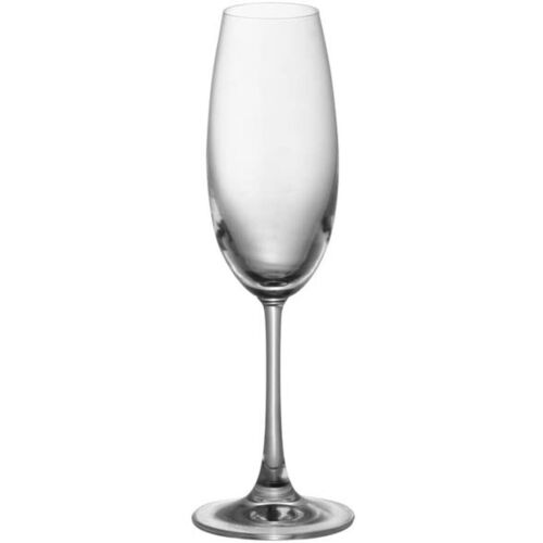 Rosenthal Glas  diVino  Champagner Glas glatt  48071  Set ( 6 St. )  neu - Bild 1 von 2