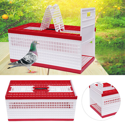 Racing Pigeon Carrier Box Bird Training Basket With 2 Side Doors 2 Top Doors Box