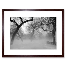 Nature Landscape Forest Snow Fog Ice Winter Black White Framed Wall Art Print