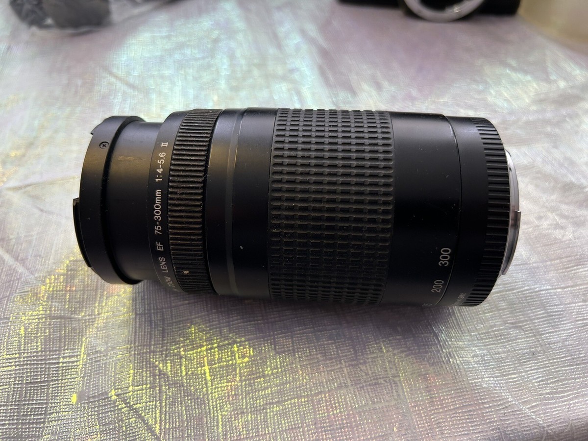 CANON ZOOM LENS EF 75-300mm 1：4-5.6 II Amazon.com : Canon RF 75-300mm f/4-5.6 Compact Telephoto