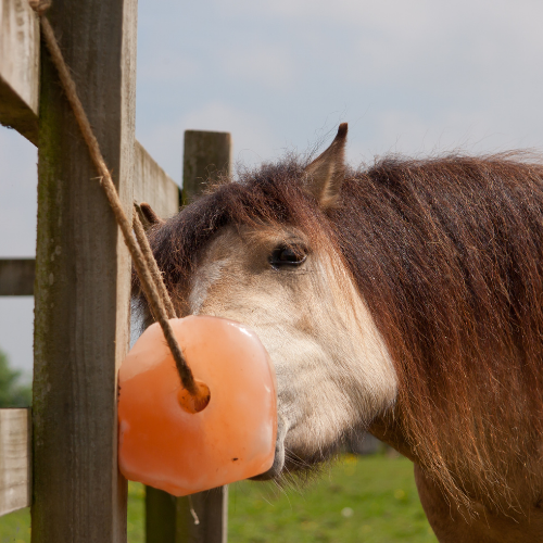 Himalayan salt lick Rock For Cattle Livestock Horse 4 Blocks of 11.5