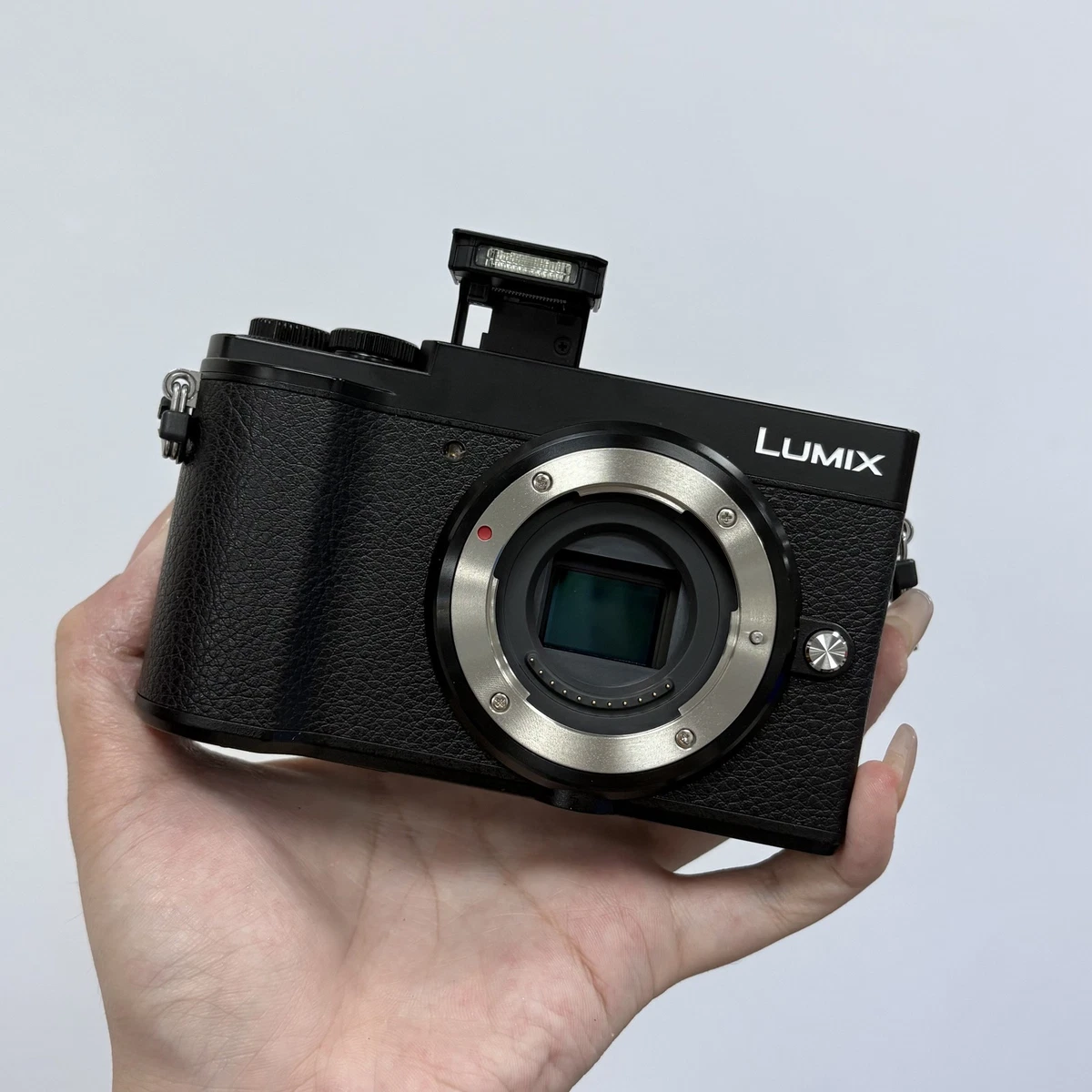 Panasonic LUMIX GX9 Digital Cameras for sale | eBay