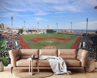 3D Baseball Stadium Landscape Wall Murals Wallpaper Murals Wall Sticker 48