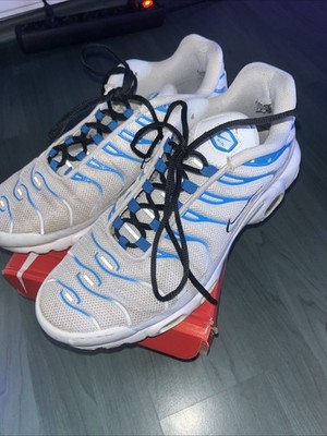 Nike Air Max plus Tn 45