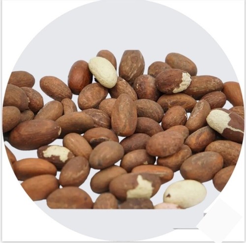 Noix De Petit Cola Fraîches - Bio - 15 Noix - Aphrodisiaque Naturel - Santé