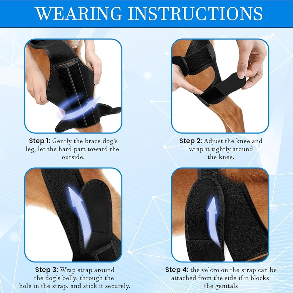 Dog Knee Brace for Torn Acl Hind Leg for Support with Cruciate Ligament Injury, - Image 4 of 4