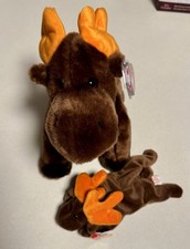 Ty Beanie Baby Chocolate Moose Plush Toy