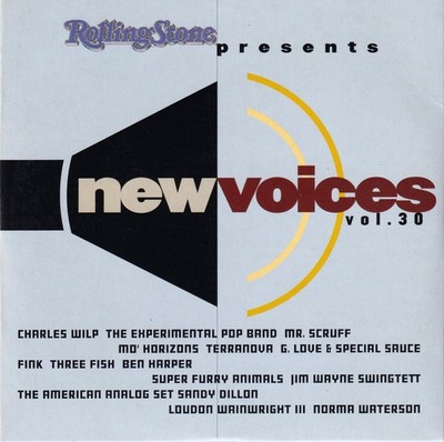 VARIOUS - New Voices Vol. 30 [CD] Zustand sehr gut