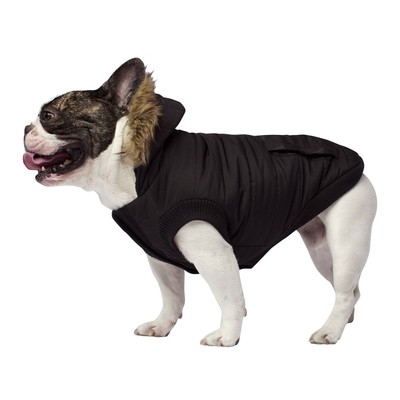canada pooch jackets uk