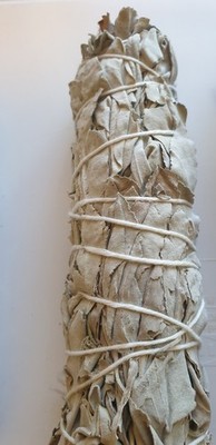 Weißer Salbei Räuchern, L Räucherbündel, White Sage Smudge Stick L 150 mm 35-50g