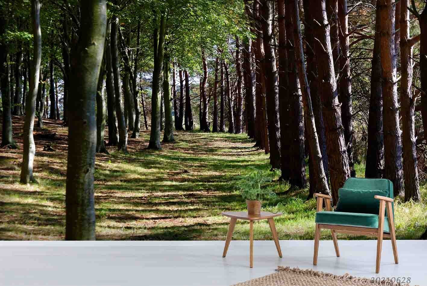 3D Forest Sunlight Landscape Wall Murals Wallpaper Murals Wall Sticker