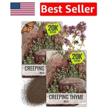 Heirloom Wild Creeping Thyme Seeds - Aromatic Groundcover for Gardens (2 Packs)