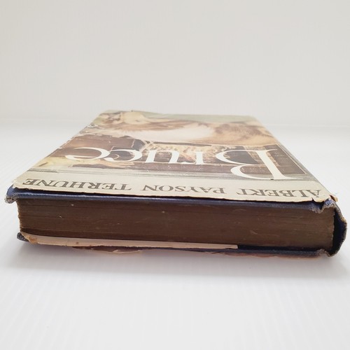Bruce von Albert Payson Terhune Grosset & Dunlap Vintage Hardcover Buch - Bild 16 von 20
