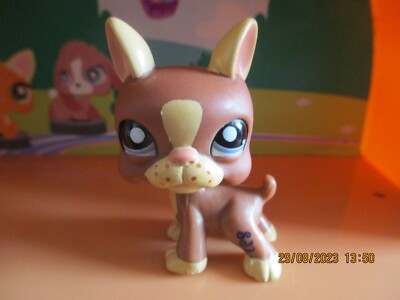 Figurine Littlest Pet Shop Boston Terrier #1789 Hasbro - Occasion, Pour Collection