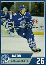 Jacob Cascagnette 2016-17 Mississauga Steelheads
