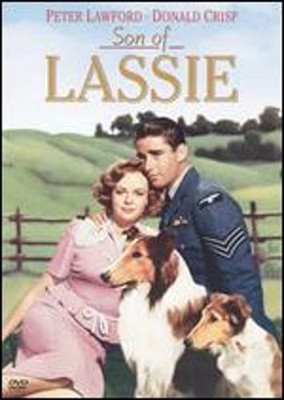 Son of Lassie by S. Sylvan Simon: Used