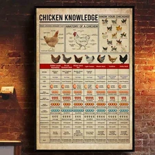 Chicken Knowledge Poster – Chicken Breeds Chart & Anatomy Farmhouse Wall Art