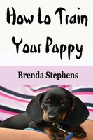 How To Train Your Puppy | Brenda Stephens | Englisch | Taschenbuch | 2020