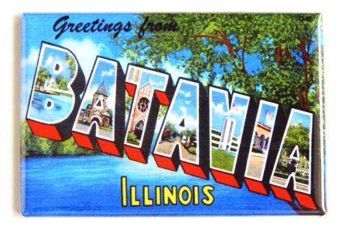 Pozdrowienia z Batavia Illinois MAGNES NA LODÓWKĘ pamiątka podróżna - Zdjęcie 1 z 3