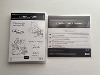 Stampin' Up! Autumn Leaves Photopolymer Stamp Set & Dies Leaves Craft 162179