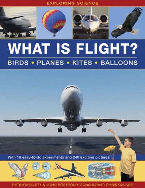 Exploring Science: What Is Flight? by Mellett Peter HARDBACK 9781861474018