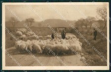 Cagliari Campidano Gregge di Pecore PIEGHINA cartolina QT2439