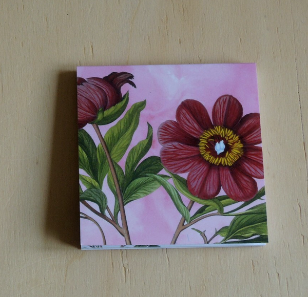 Pfingstrosen X Klebezettel Haftnotizen 50 Blatt Notizzettel Blumen Botanisch-image