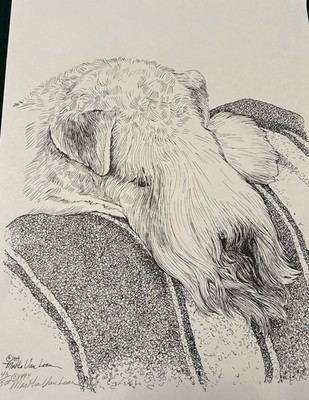 Soft Coated Wheaten Terrier  Print by Martha Van Loan 11 x17 signed/number